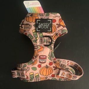 Sassy woof fall pumpkin dog harness.